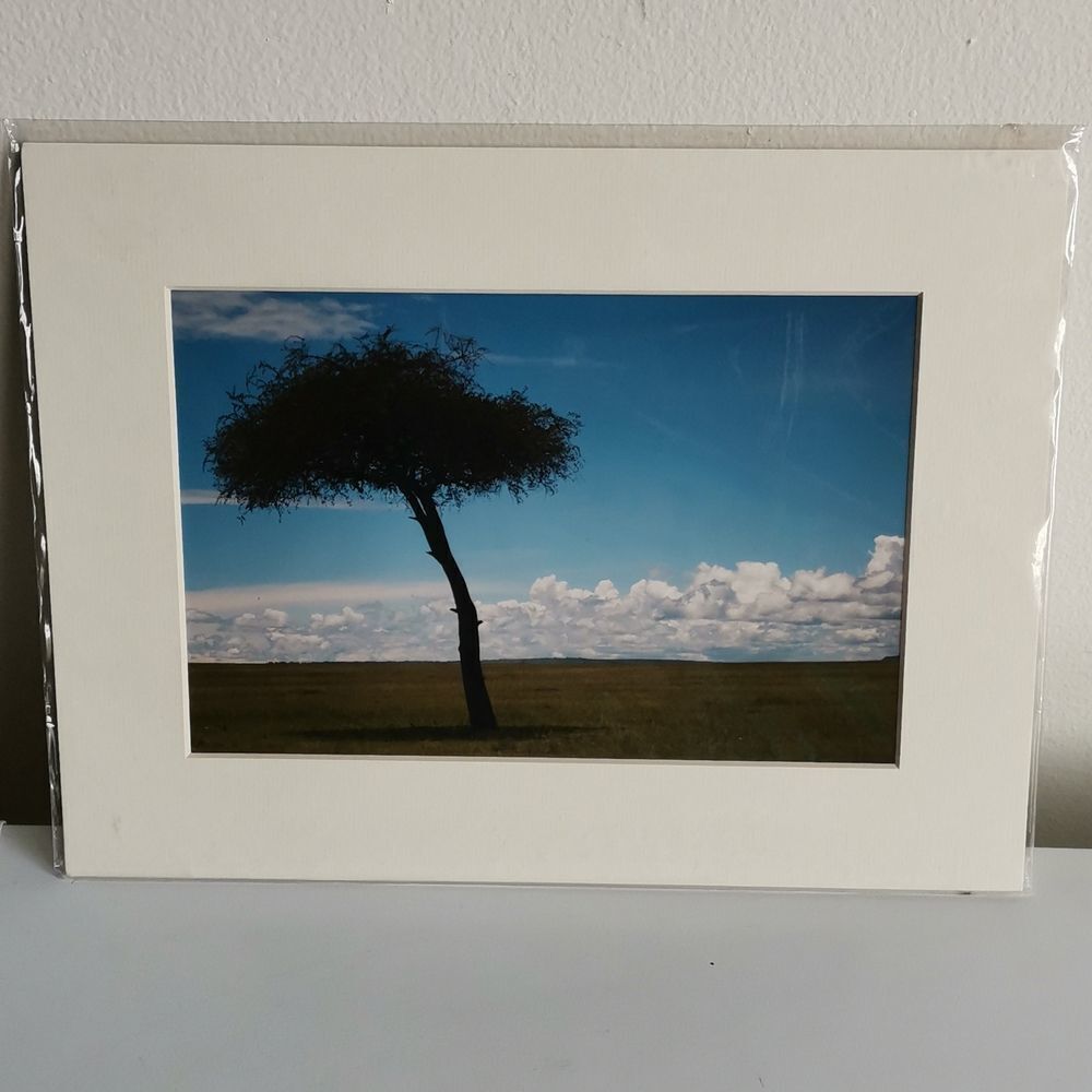 NWOT Home Art Set of 2 - Picture 3 of 3